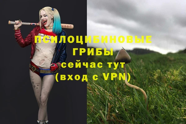 mdpv Дмитров