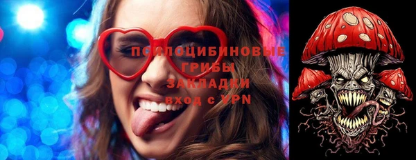 mdpv Дмитров