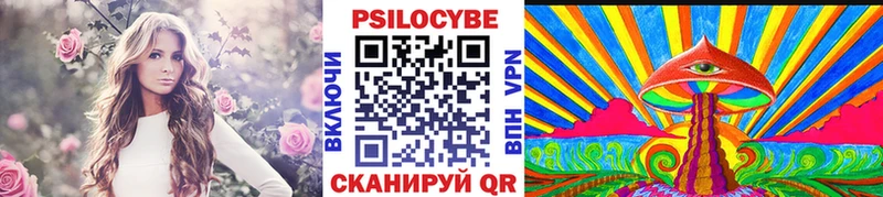 Купить  Красный Сулин  Псилоцибиновые грибы мицелий 